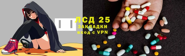 гидра Вязники