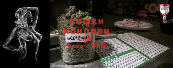 гидра Вязники