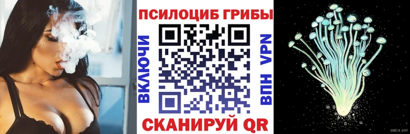 blacksprut ТОР  Заинск  Галлюциногенные грибы прущие грибы 