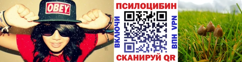 Псилоцибиновые грибы прущие грибы Заинск